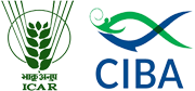 CIBA Logo