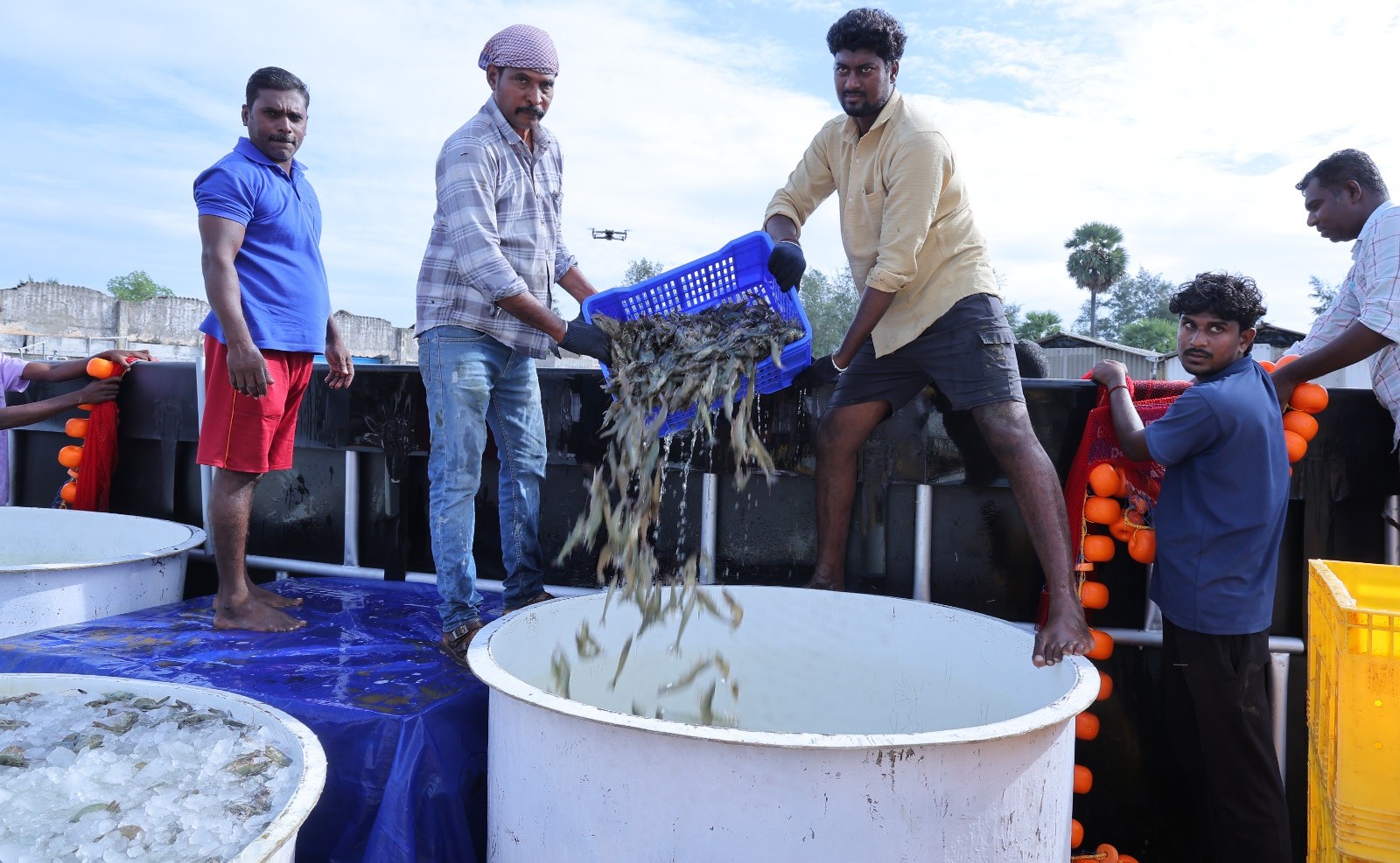 ICAR-CIBA’s Super-Intensive Precision and Natural Shrimp Farming (SIPNSF) Technology is recognised as the pathway to Viksit Bharat’s shrimp production goal