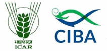 Central Institute of Brackishwater Aquaculture (CIBA) | केन्द्रीय खारा जलजीव पालन अनुसंधान संस्थान