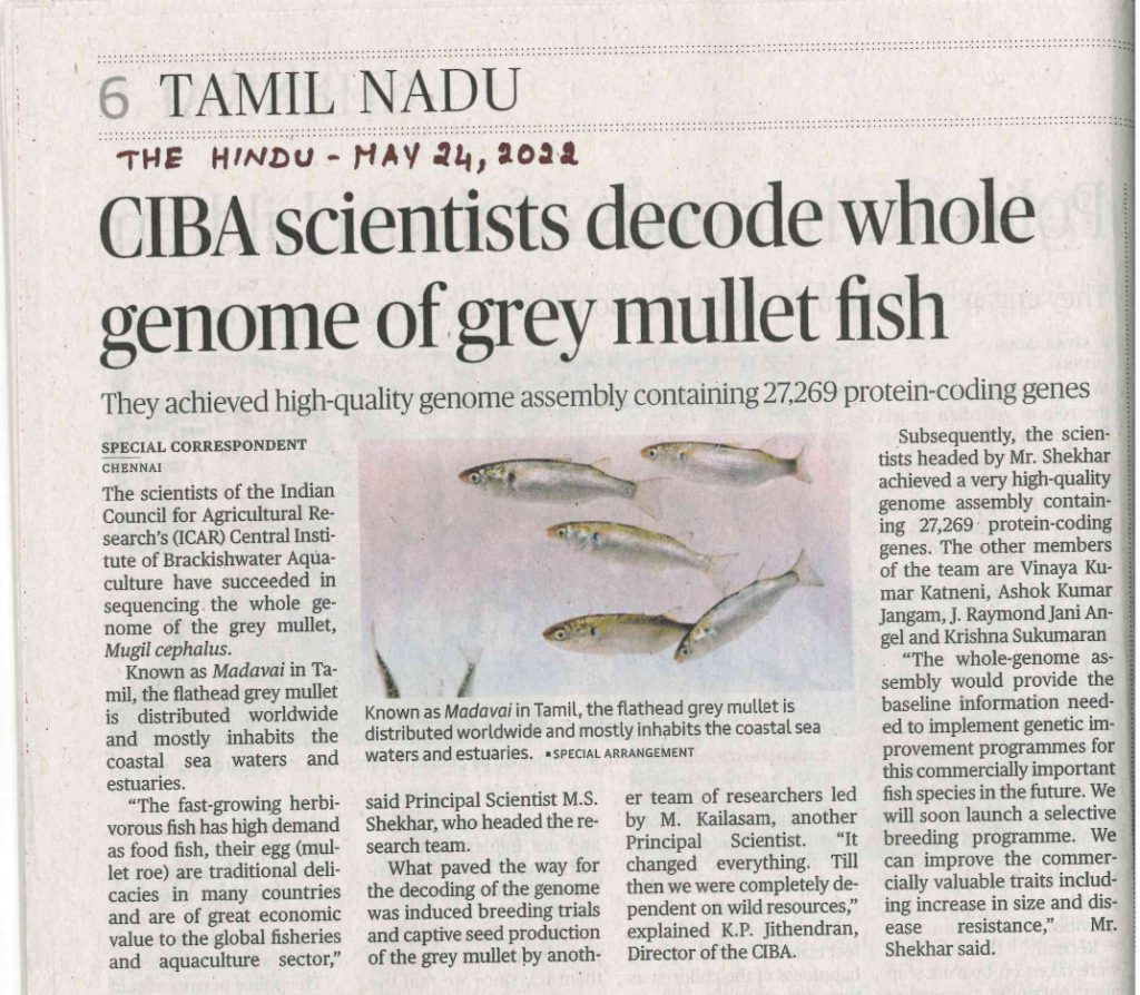 The Hindu, 24 May 2022