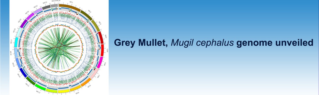 Slider 7684 - image