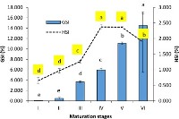 Fatty acid mobilization and histological changes at different maturation stages of female hilsa, Tenualosa ilisha