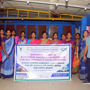 ICAR-CIBA Empowers Coastal Communities in Brackishwater Ornamental Fish Breeding in Ramanathapuram