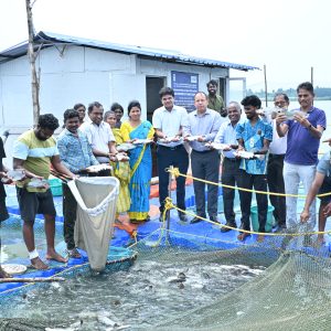 Seabass Cage Farming in Brackishwaters transforms the Livelihoods of coastal Scheduled Caste families of T.Kolathur Village, Chengalpattu district, Tamil Nadu on May 1, 2026
