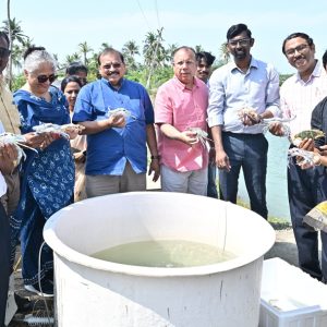 ICAR-CIBA Demonstrates India’s First Blue Swimmer Crab Farming Technology Using its own Hatchery-Produced Seed and Formulated Feed