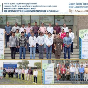 Navsari Gujarat Research Centre of ICAR-CIBA (NGRC- ICAR-CIBA), conducted Trainers Training Programme for the officials of Gujarat state Department of Fisheries